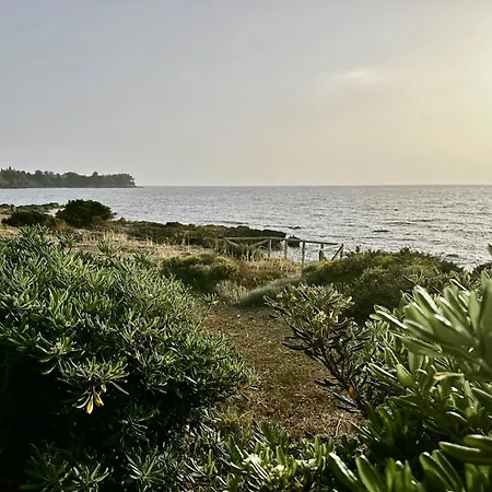 Apartamento Genari -family Sea View Korakokhórion