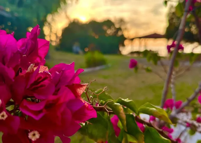 Genari -family Sea View