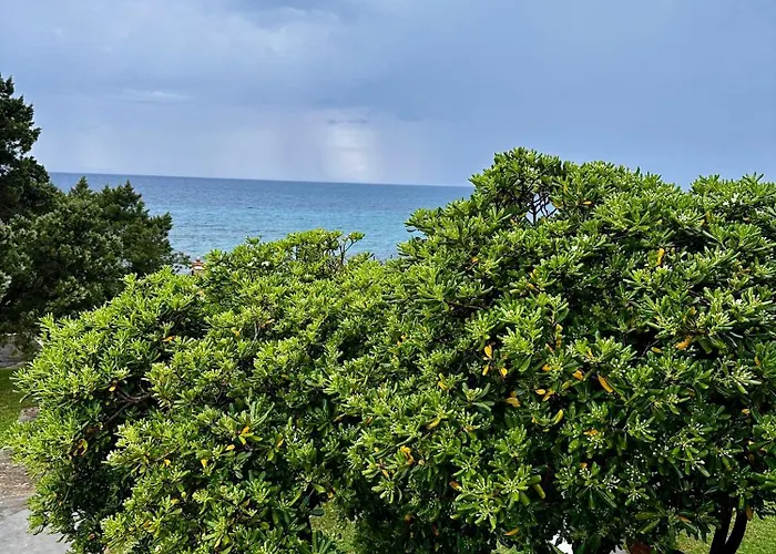 Apartman Genari -family Sea View *